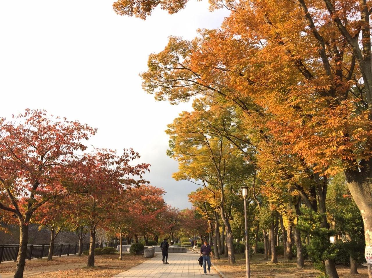 فندق Mikawa House Osaka Castle المظهر الخارجي الصورة